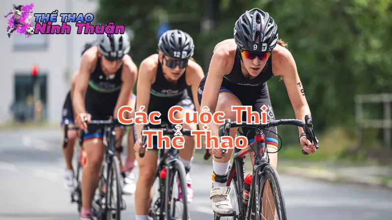 Các Cuộc Thi Thể Thao Đặc Sắc