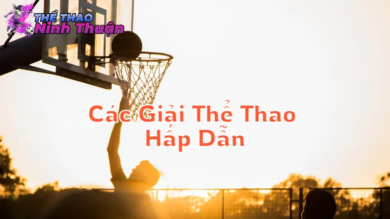 Các Giải Thể Thao Hấp Dẫn Trong Năm