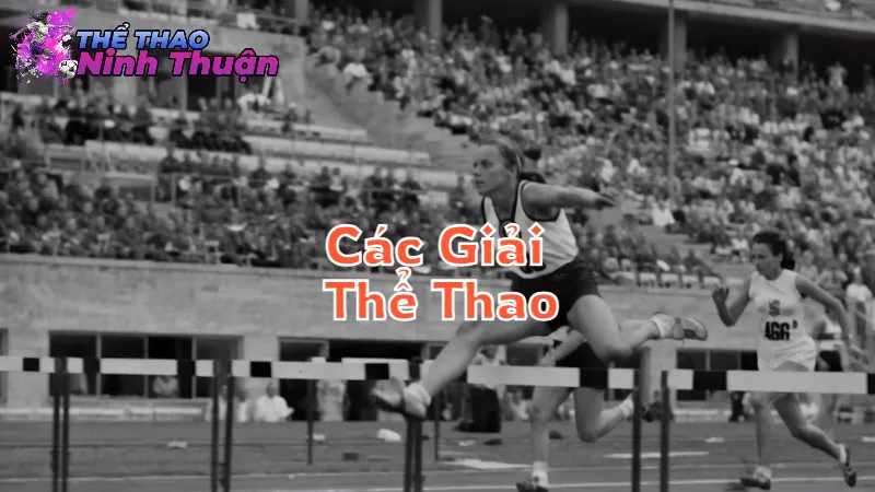 Các Giải Thể Thao Sắp Tới