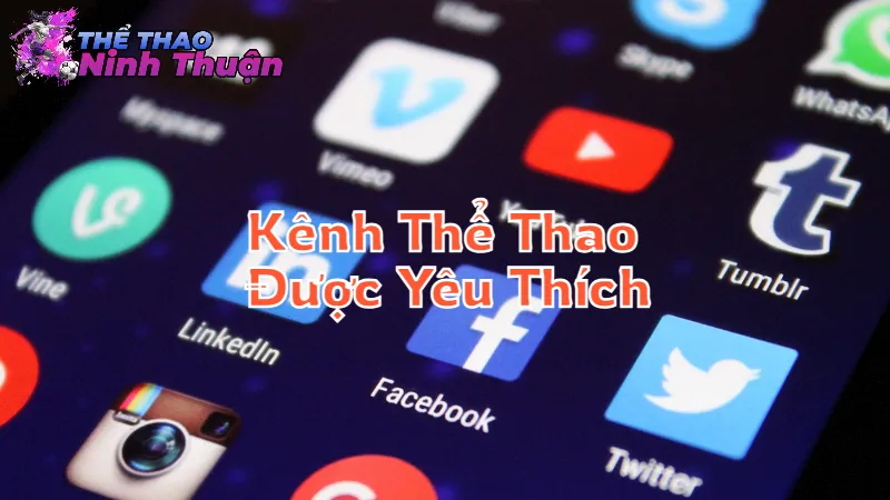 Các Kênh Thể Thao Được Yêu Thích