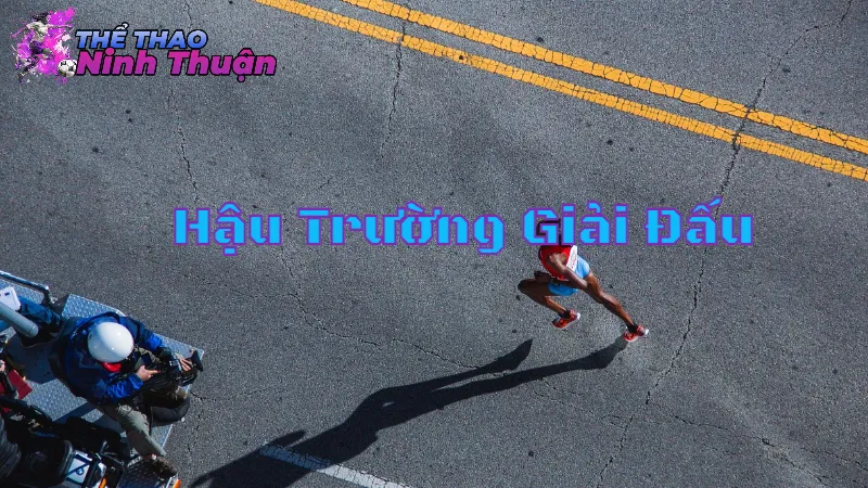 Hậu Trường Giải Đấu: Những Câu Chuyện Thú Vị