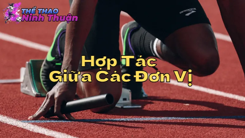 Hợp Tác Giữa Các Đơn Vị Thể Thao Địa Phương