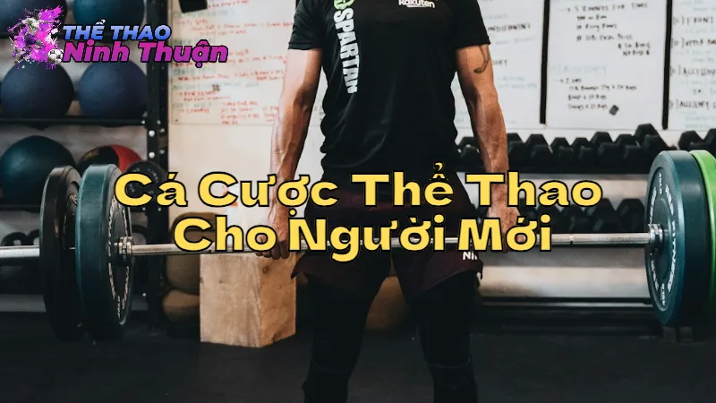 Hướng Dẫn Cá Cược Thể Thao Cho Người Mới
