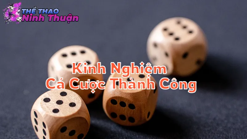 Kinh Nghiệm Cá Cược Thành Công