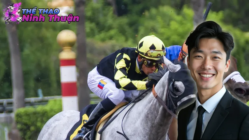 Kinh Nghiệm Cá Cược