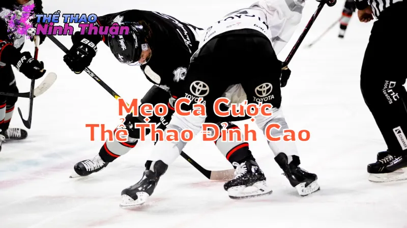 Mẹo Cá Cược Thể Thao Đỉnh Cao