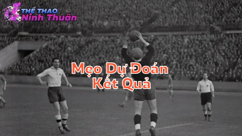 Mẹo Dự Đoán Kết Quả Thể Thao