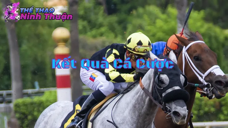 Phân Tích Kết Quả Cá Cược Từ Các Chuyên Gia