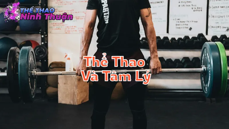 Tác Động Tích Cực Của Thể Thao Đến Tâm Lý