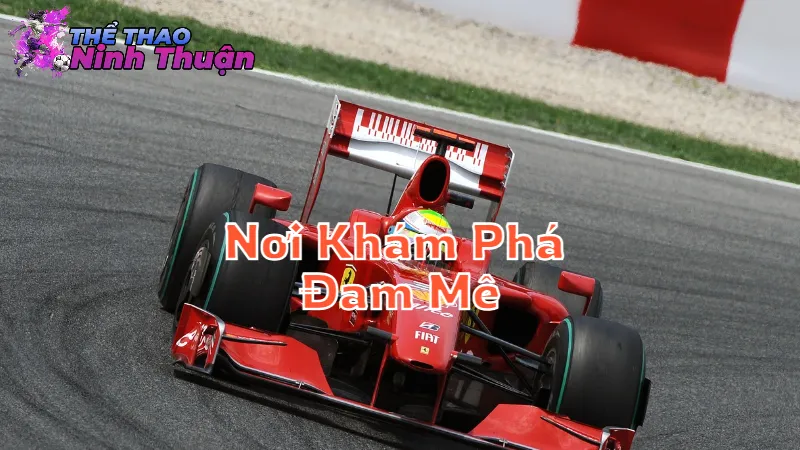 Thể Thao Ninh Thuận: Nơi Khám Phá Đam Mê