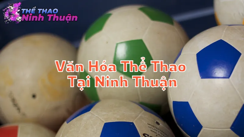 Văn Hóa Thể Thao Tại Ninh Thuận