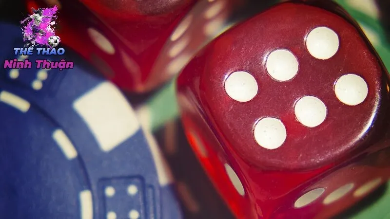 Các Tiêu Chí Đánh Giá Một Nhà Cái Quốc Tế Uy Tín