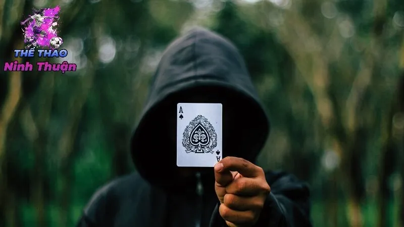 Các Tiêu Chí Lựa Chọn Nhà Cái Lâu Năm