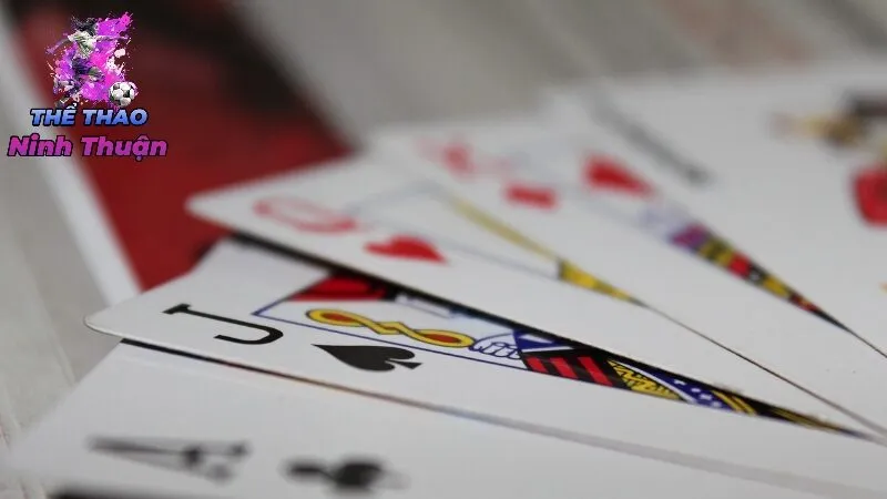 Các Tính Năng Nổi Bật Của Nhà Cái Mobile