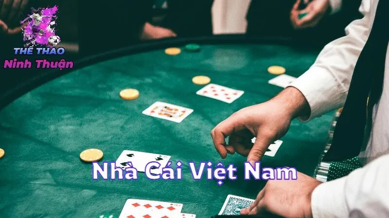 Nhà Cái Việt Nam Với Chính Sách Ưu Đãi Lớn