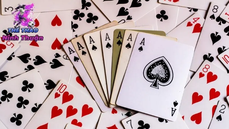 Tại Sao Chọn Những Nhà Cái Trả Thưởng Cao?