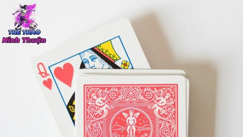 Vai Trò Của Giấy Phép Trong Uy Tín Của Một Nhà Cái Quốc Tế